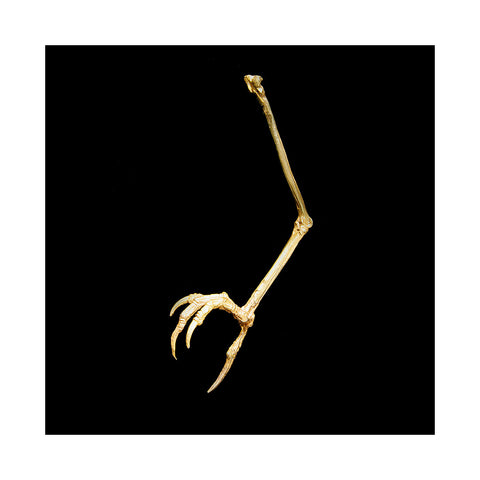 Claw Brooch Gold