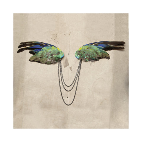 Parrot Brooch