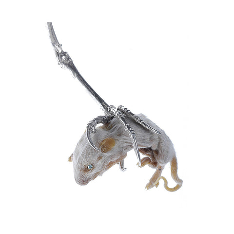Prey