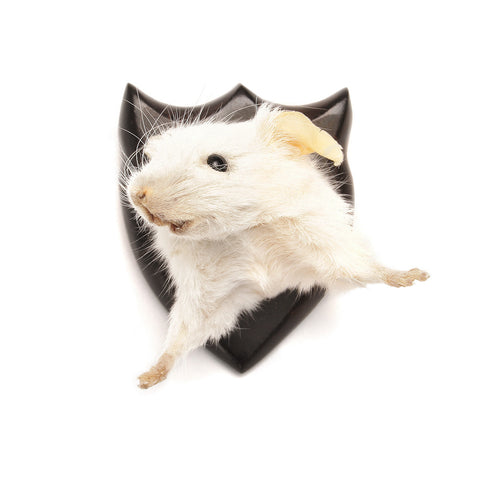 Trophy Mouse