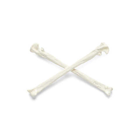 Crossbones Brooch White
