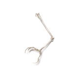 Raven Claw Brooch