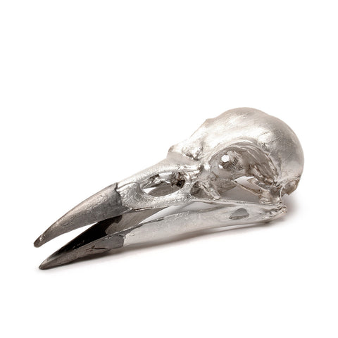 Silver Raven Skull