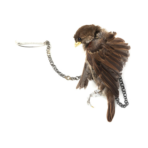 Sparrow Brooch